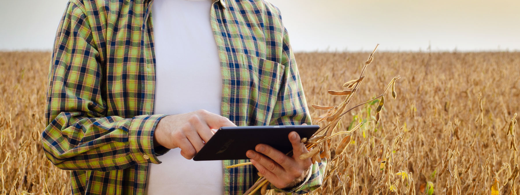 Agriculture Informations Sheets and Flyers Agriculture Information Sheets and Flyers