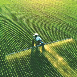 Information Sheet 2022 Agriculture Outlook