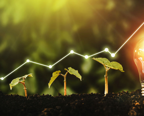 2022 crop planning success