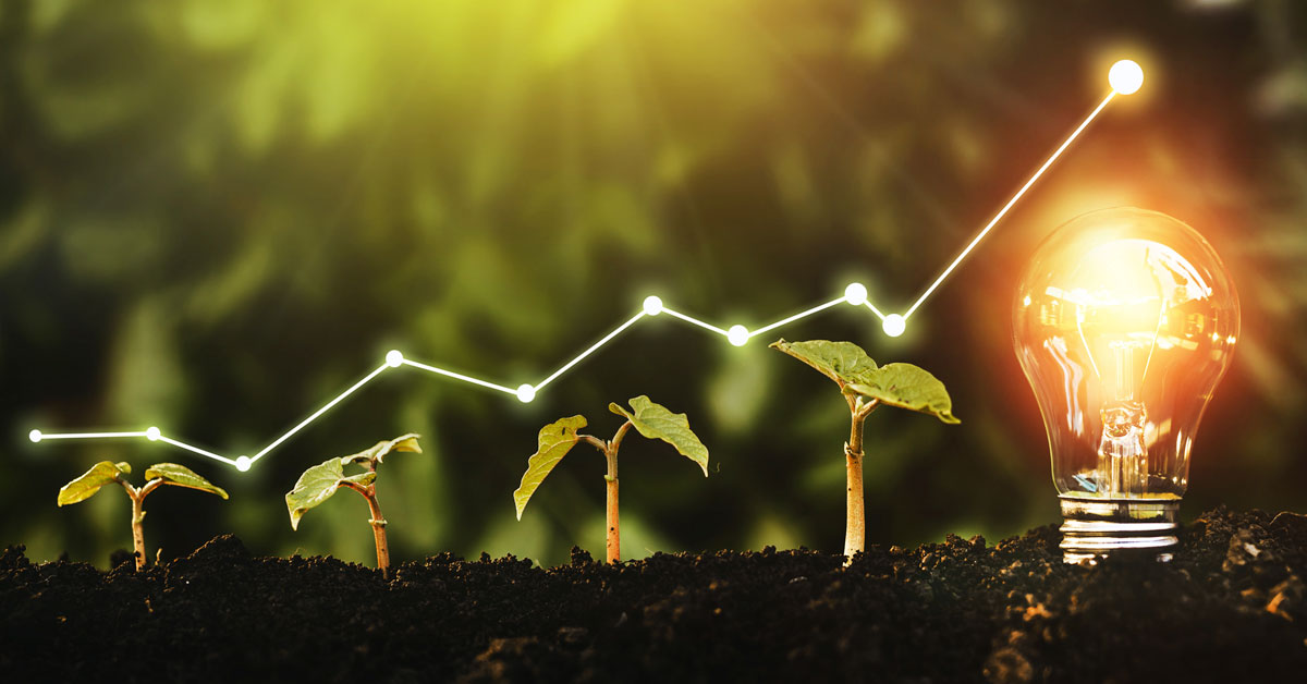 2022 crop planning success