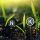 Economical and Efficient Use of Phosphorus and Potassium