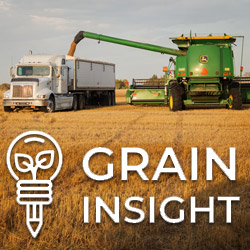Information on Grain Insight by Ag Consulting Group